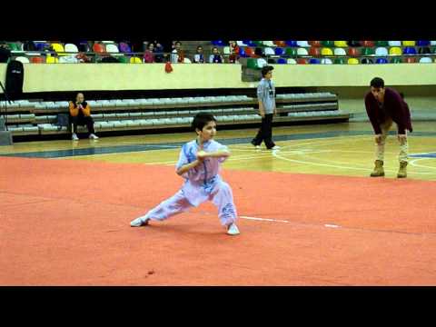 Wushu Berkay Efe KÖSE Chanquan 32 form