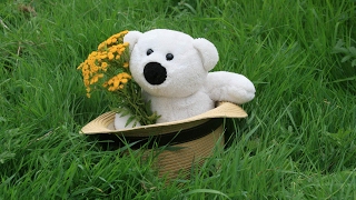 Teddy Day Celebration | Happy Teddy Bear Day | valentine's week celebration | Fun Grave