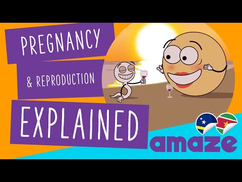 Pregnancy and Reproduction Explained (Nederlands)