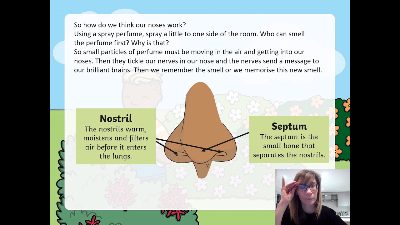 Sense of Smell PowerPoint