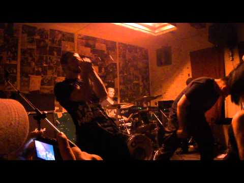 Animality - What makes me womit