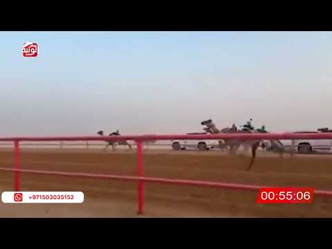   ش 5 (الشاهينيه) لـ حمد سالم علي الدرعي 2:6:99 , شارة الصندوق 2026/06/20 فطامين الرقيعات    