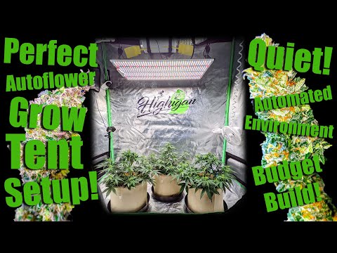 , title : 'Perfect 2x4 Autoflower Grow Tent Setup! Quiet, Automated Environment!'