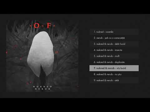 nUKred & Nerub - Vis lucid