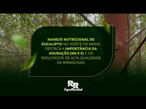 🌱 Manejo Nutricional para Floresta de Eucalipto em Rubelita/MG e Grão Mogol, no Norte de Minas.