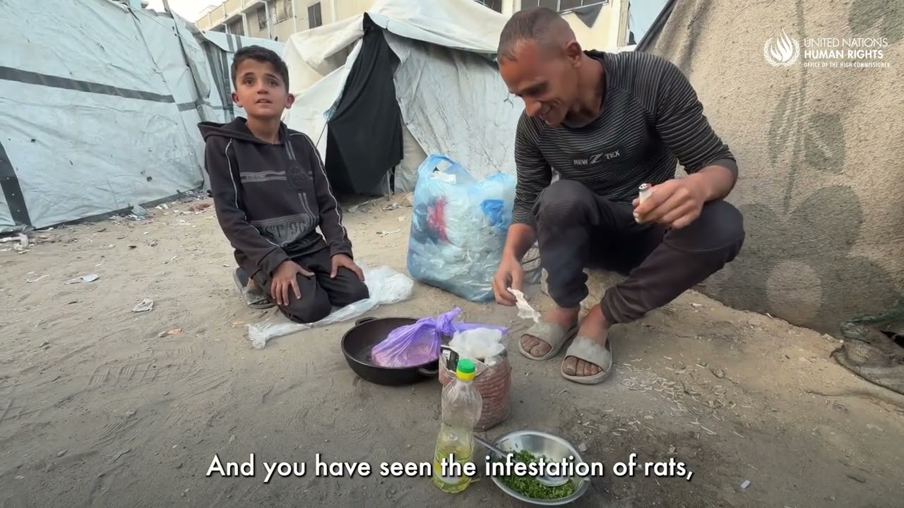 Gaza and the West Bank: UN Human Rights Warns Accountability Is Urgent