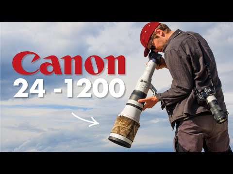 Schmetterlinge mit Canon 24-1200mm fotografieren