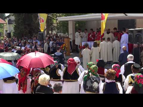 (2 dio) Sveta Misa na Patron Župe Vitez (predvodi Fra. Nikola Kozina)