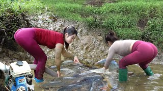Greatest Fishing Video: Young Girl's Drain Water from the Pond, Catch a Lot of Fish, Giant Fish