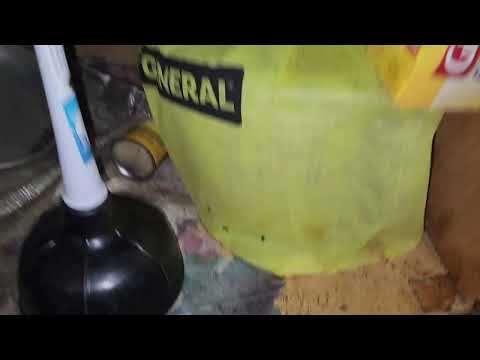 Apartment Infested with Cockroaches in Beach Haven, NJ