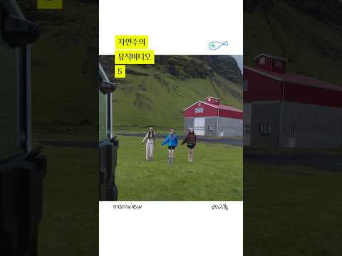 자연주의 뮤비 5_maniview