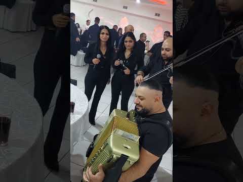 Milan Dimic Barbike Preva I Gold Style Bibijaka