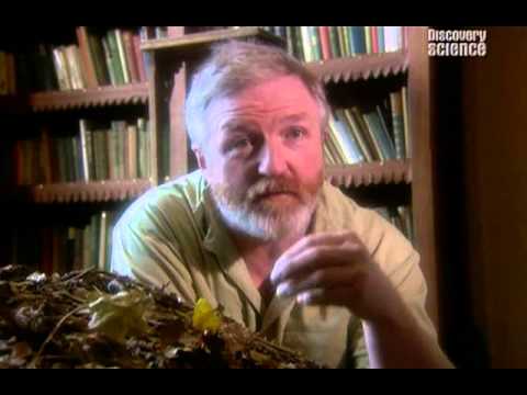 The Big Question- Why Are We Here- Richard Dawkins (English Subtitles)