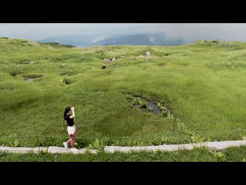 【SUMMER】myyamagata