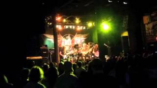 Winger Rat Race Trees 6514