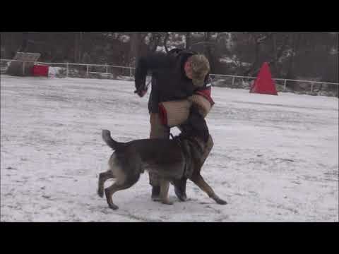 Protection training weekend 12/2019