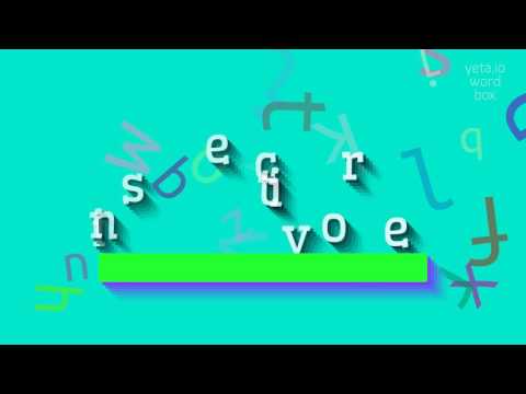 INSECTIVORE - HOW TO PRONOUNCE IT? #insectivore