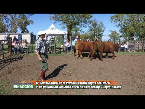 6ª Prueba Pastoril del Litoral Previa al Remate - Julian Pessolani