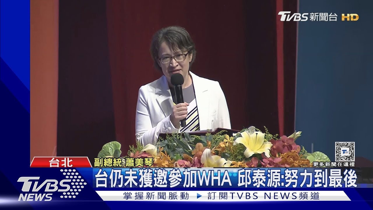 G7援台灣參加WHA 蕭美琴:感謝國際支持