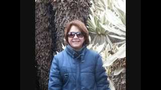 Cada mañana - Vicente Fernandez