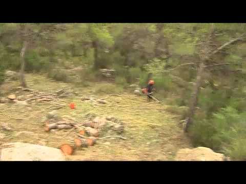 El Servef aprueba ayudas para que 300 municipios contraten a desempleados para actuaciones en el