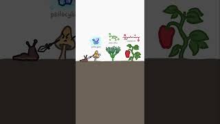 Why Mushrooms Make Animals Trip — Full Breakdown & Transcript