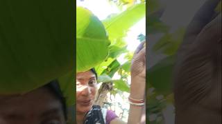 Download lagu @TheCrunchBrosSubscribe15KPopping green grape jelly! - got these in J mp3