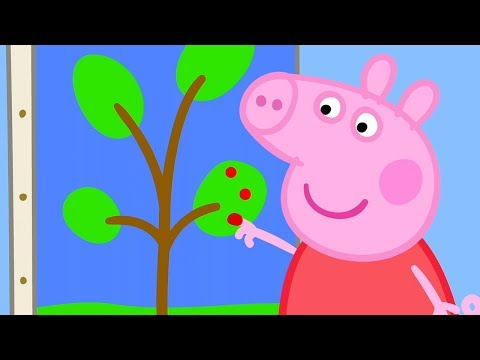 Peppa Pig Italiano 🎨 Dipingere - Collezione Italiano - Cartoni Animati