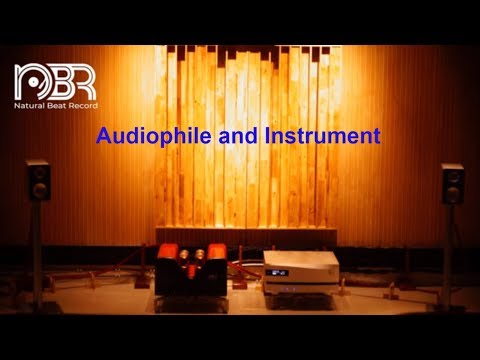 Audiophile Choice 2019 - Audiophile and Instrument - Natural Beat Record