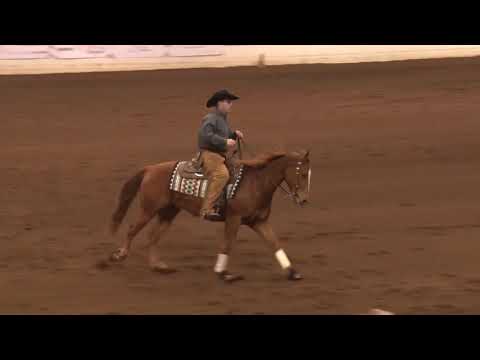 190125 Andrew Fox on Royal Barroom Legend Open