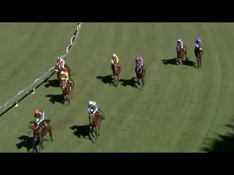 Head on race 4