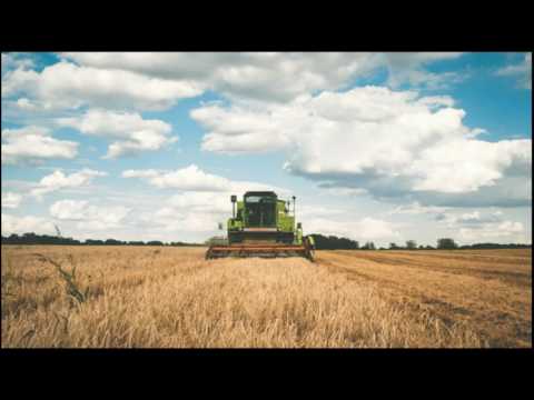 No llencem el menjar i cuidarem el planeta