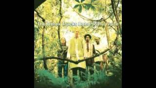 The Derek Trucks Band- Every Good Boy