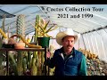 Cactus Collection Tour 2021 and 1999