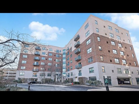 175 Cottage Street 710