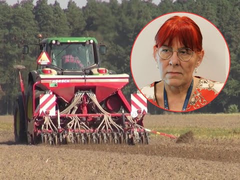 A new eco-scheme for farmers. What are the subsidies for?