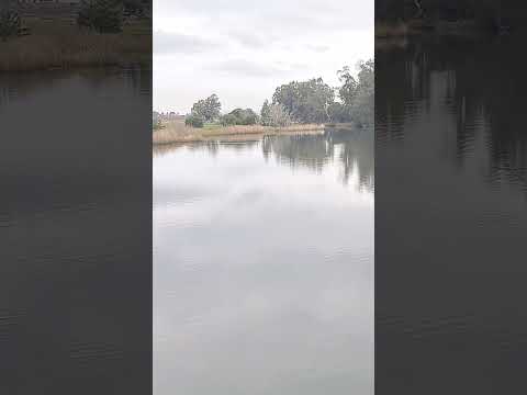 la Alameda. San Carlos. Maldonado .Uruguay