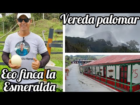 Turismo Rural en anzoategui tolima : eco finca la esmeralda & vereda palomar.