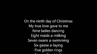 Sara Evans ft. Oliva &amp; Audrey - Twelve days of christmas (Lyrics)