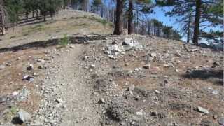 Mt. Baldy Summit via Bear Canyon