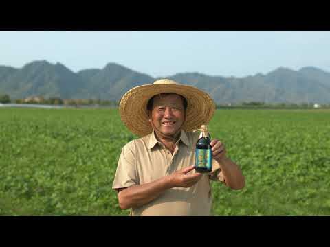 【用愛釀造好豆油】豆油伯讓臺灣小農被世界看見