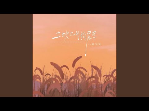 土坡上的狗尾巴草