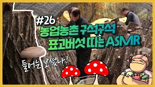 농업농촌 구석구석 ep.26 포동포동 표고버섯은 언제부터 그렇게 예뻤나~