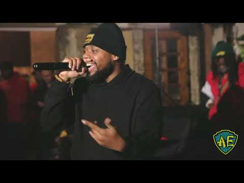 Endemic Emerald - The Virux album release party. Brooklyn NY Dec 2021