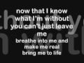 Evanescence Bring Me To Life Lyrics
