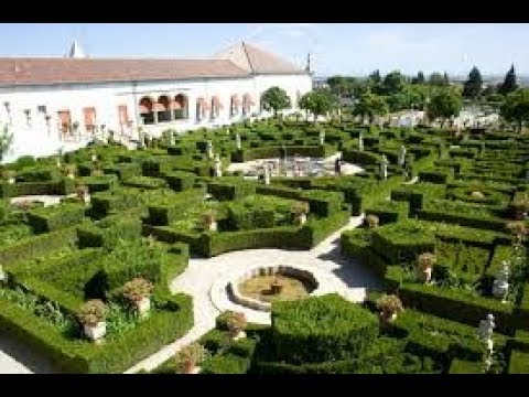 Vídeo: Mensagens Jardim Secreto boa noite: perguntas e respostas