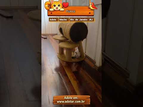 Vídeo de Pipoca 