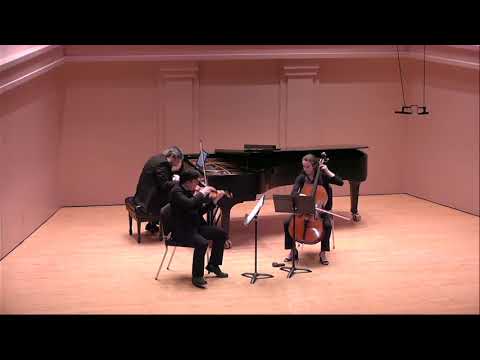 İlhan Baran, Transformations (Dönüşümler) for Piano Trio - Hoppa Project