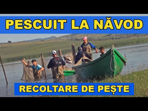 Pescuit la NAVOD pe barajul Manjesti VASLUI / Ce pește are balta si cum se recolteaza