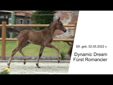 Stf v Dynamic Dream x Fuerst Romancier 2022